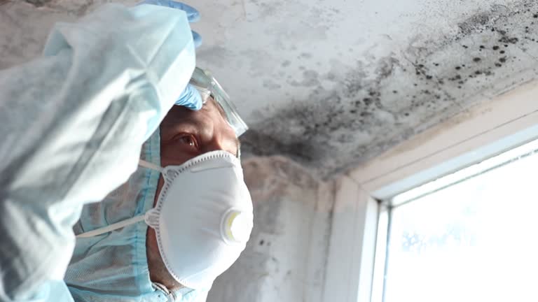 Best Mold Damage Restoration  in Pomona, CA